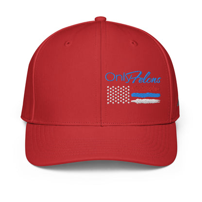 Constitutes - OnlyFelons Political Cap. MAGA Red. Convicted Felon. OutLaw. Anti-Establishment.