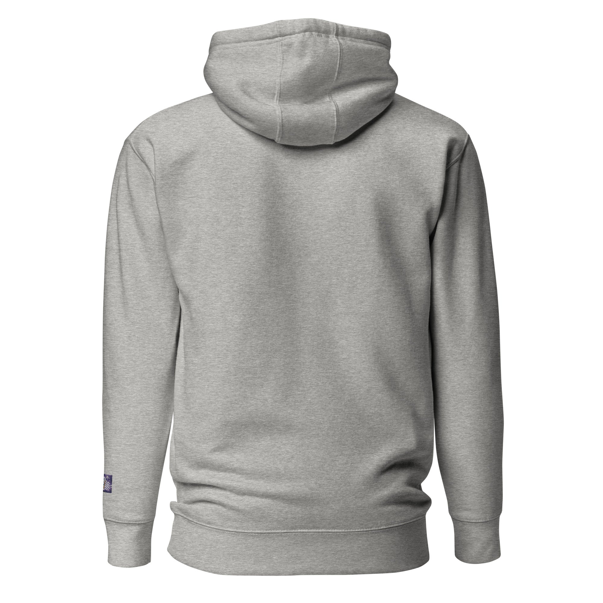 Constitutes - Do Not Comply Political Hoodie. Sterling Gray. Civil Disobedience. Civil Protests. Civil Infiltration. 