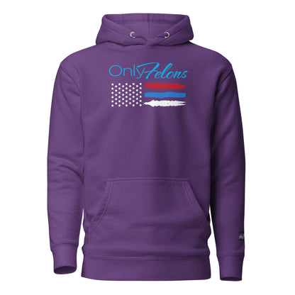 Constitutes - OnlyFelons Political Hoodie. Purple. Convicted Felon. OutLaw. Anti-Establishment.